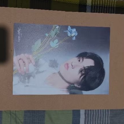 POSTCARD HARUTO TREASURE