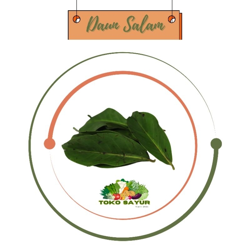 

Daun Salam 100 gr