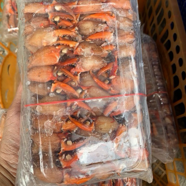 

Capit Kepiting Frozen