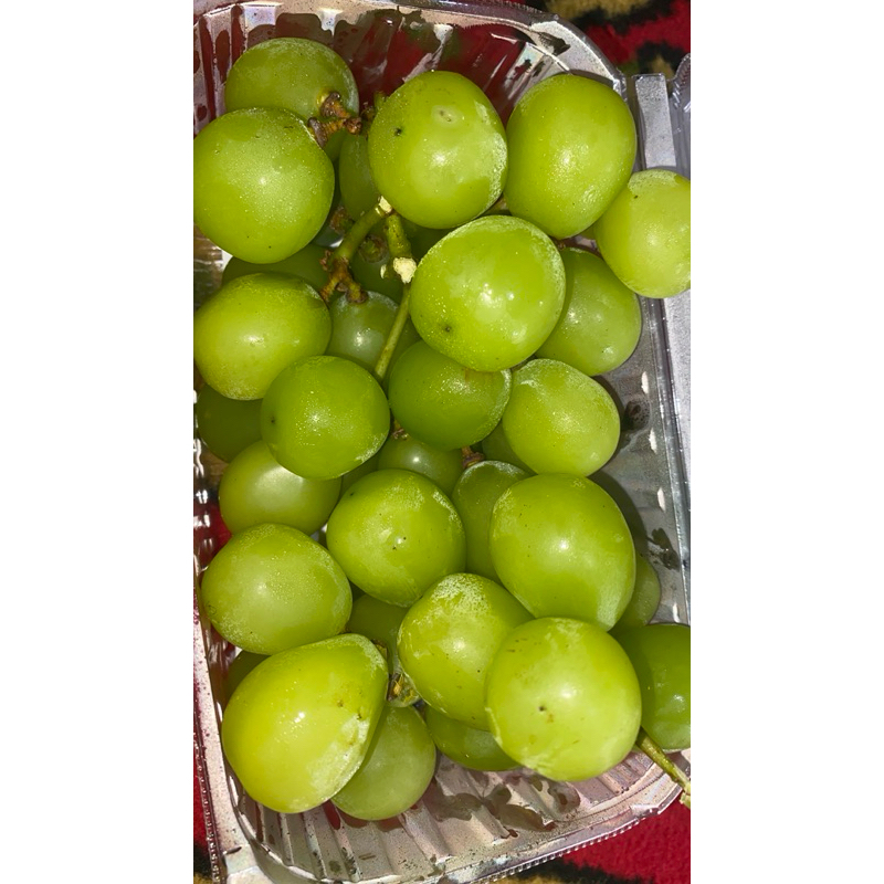 

Anggur Muscat500g