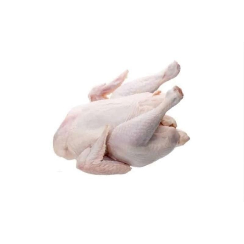 

Ayam Negeri / Ayam Broiler Fresh dan Frozen Utuh Ukuran 1 KG