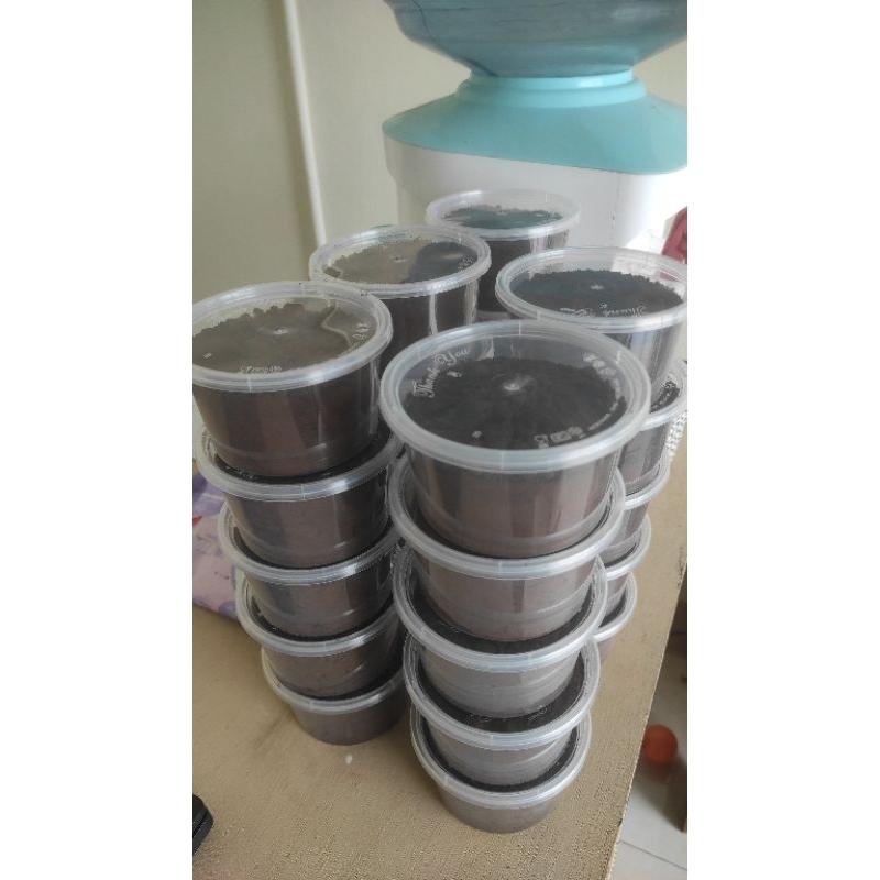 

kopi tradisional lombok