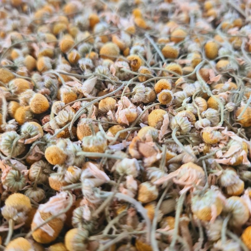 

[Panen] Chamomile Tea Import, Teh Chamomile, Dried Chamomile Food Grade, Bunga Chamomile Kering | Bunga Camomile | Chamomile Tea | Artisan Tea | Herbal | Tisane | Teh Bunga | Relaxing Tea | Flower Tea | Green Tea Black Tea | Teh | Chinese Tea | Oolong Tea