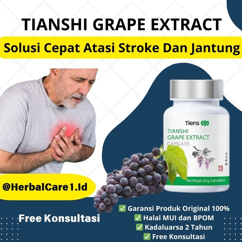 GRAPE EXTRACT TIENS NUTRISI VERTIGO | PENYUMBATAN PEMBULUH DARAH
