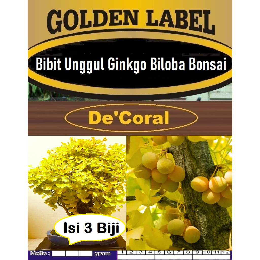 Bibit Unggul Ginkgo Biloba Bonsai | Biji Benih Gingko Biloba Bonsai