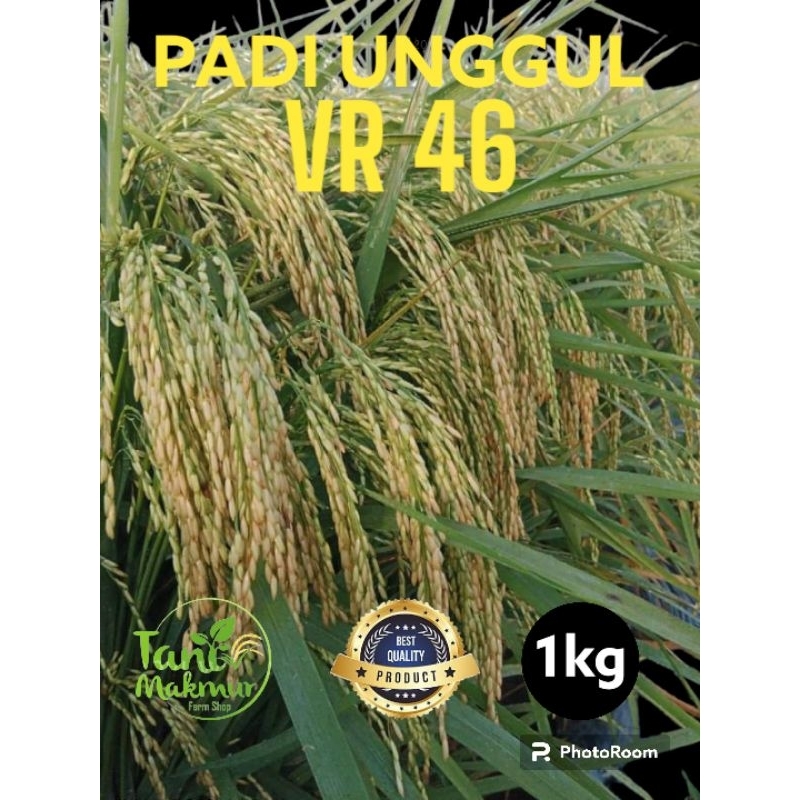 Benih padi VR 46 kemasan 1kg original