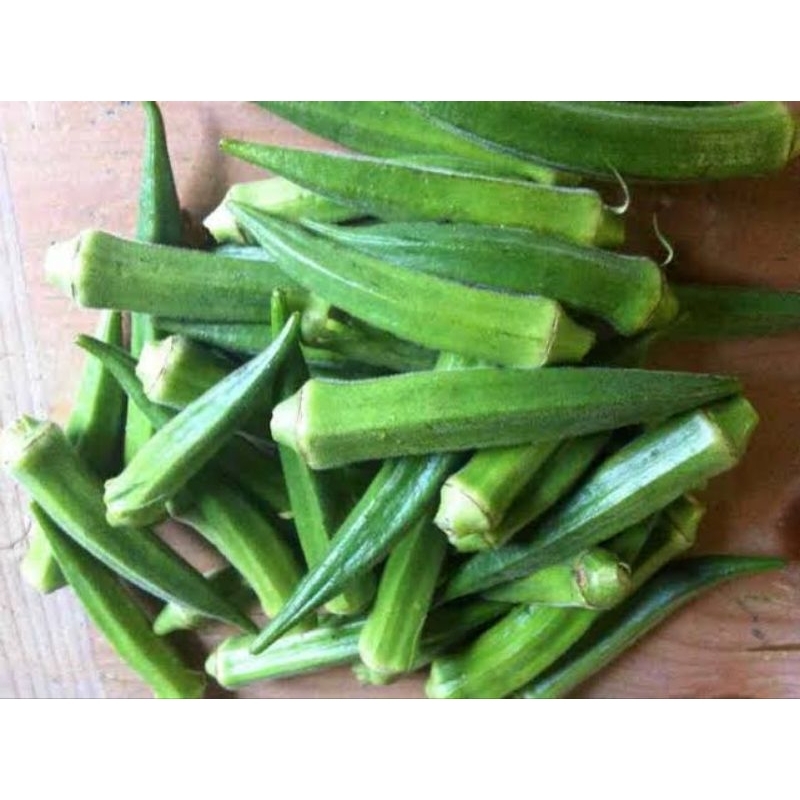 

okra / sayuran okra