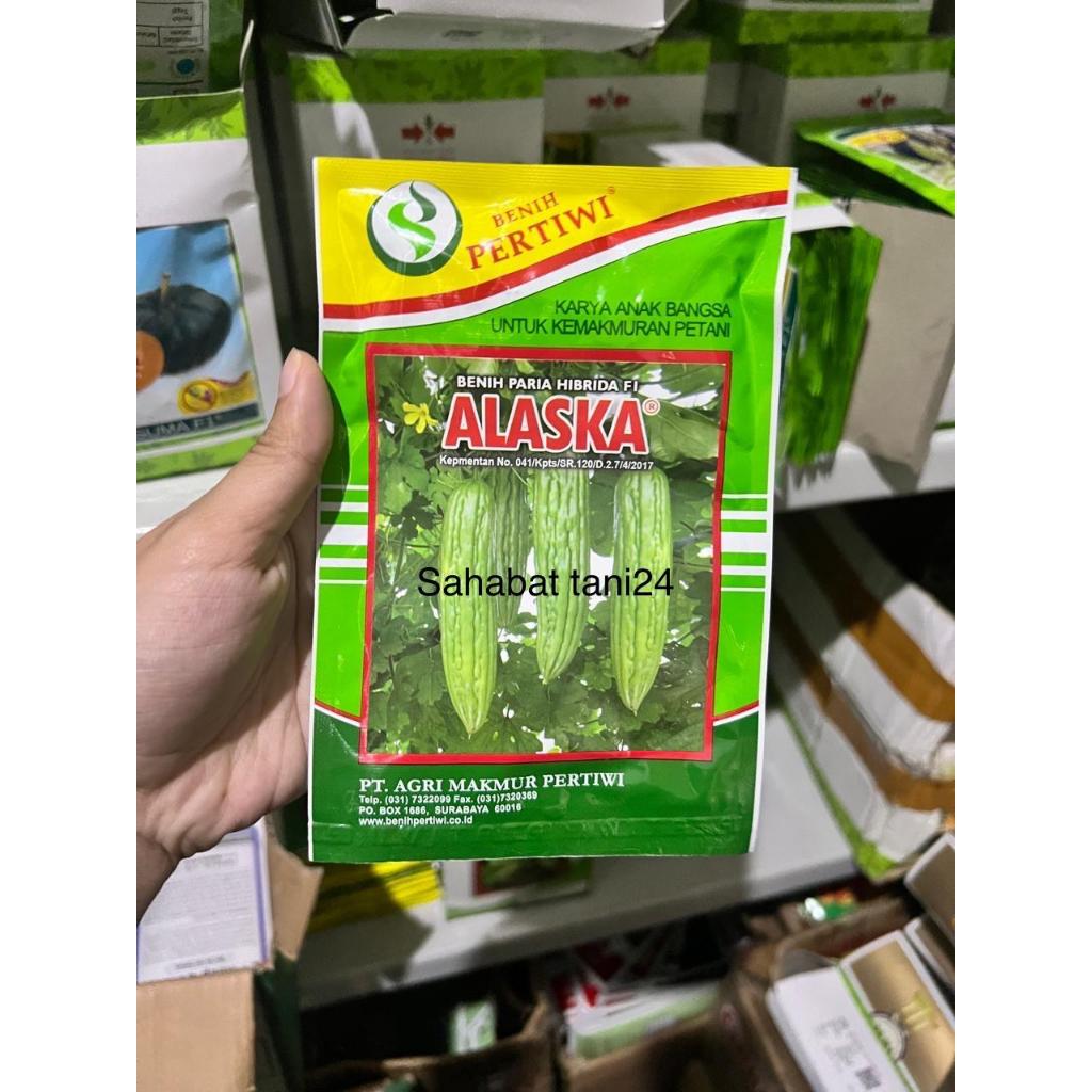 Benih paria ALASKA F1 10 gram pare hibrida alaska dari benih pertiwi