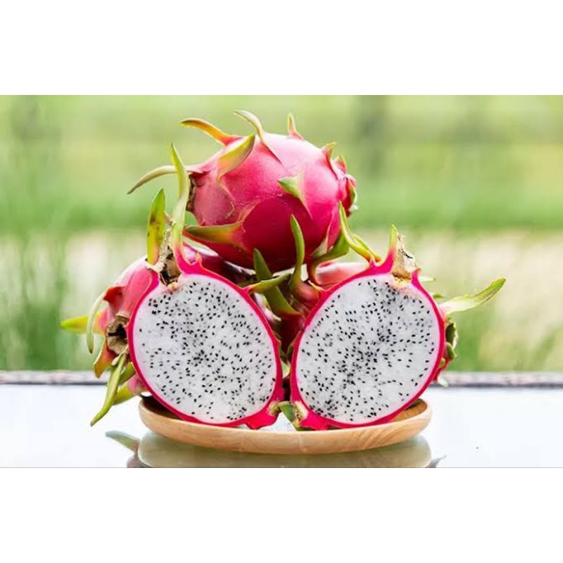 

Buah Naga Putih