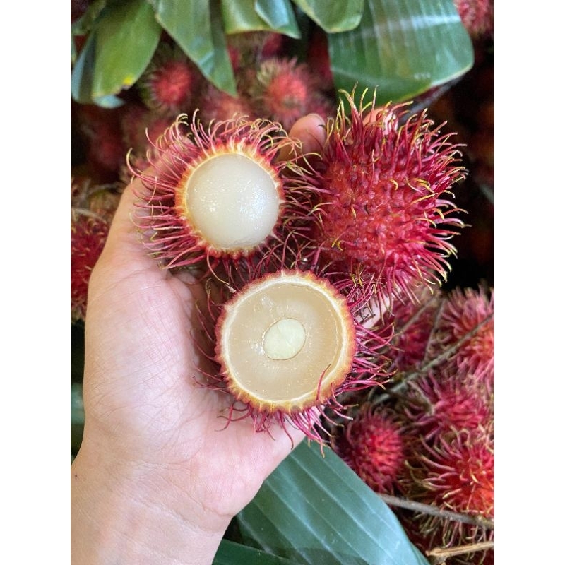 

rambutan binjai 1kg full manis bagus