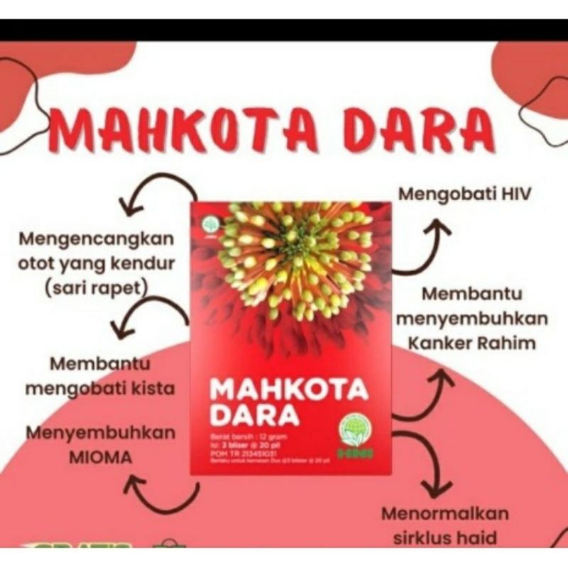 MAHKOTA DARA/MUSTIKA DARA  HPAI HNI original- herbal kista/miom keputihan