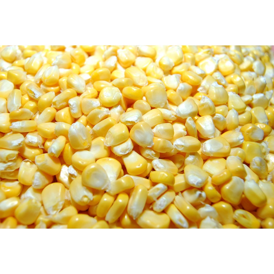 

JAGUNG PIPIL MANIS 1KG/ JAPINIS FROZEN UNTUK JASUKE