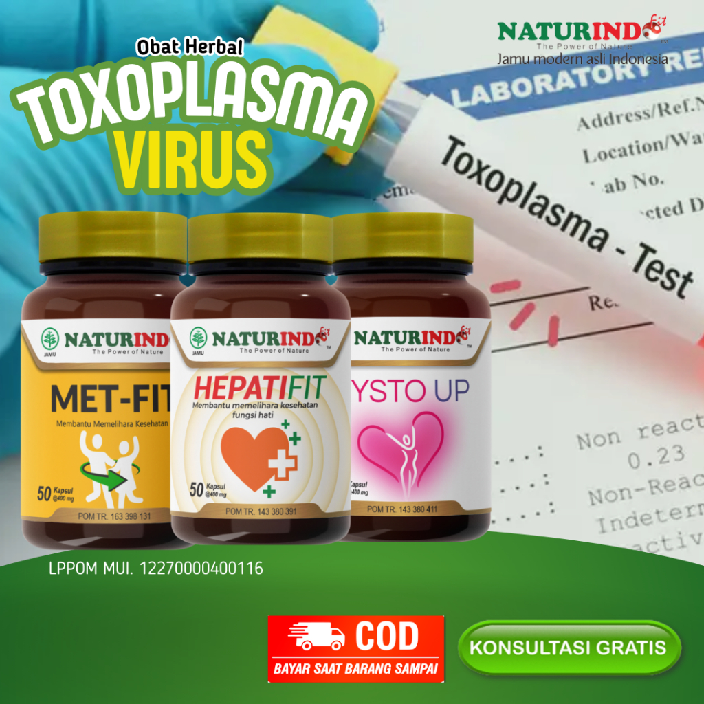 Obat Toxoplasma Paling Ampuh Dewasa Parasit Kekebalan Tubuh