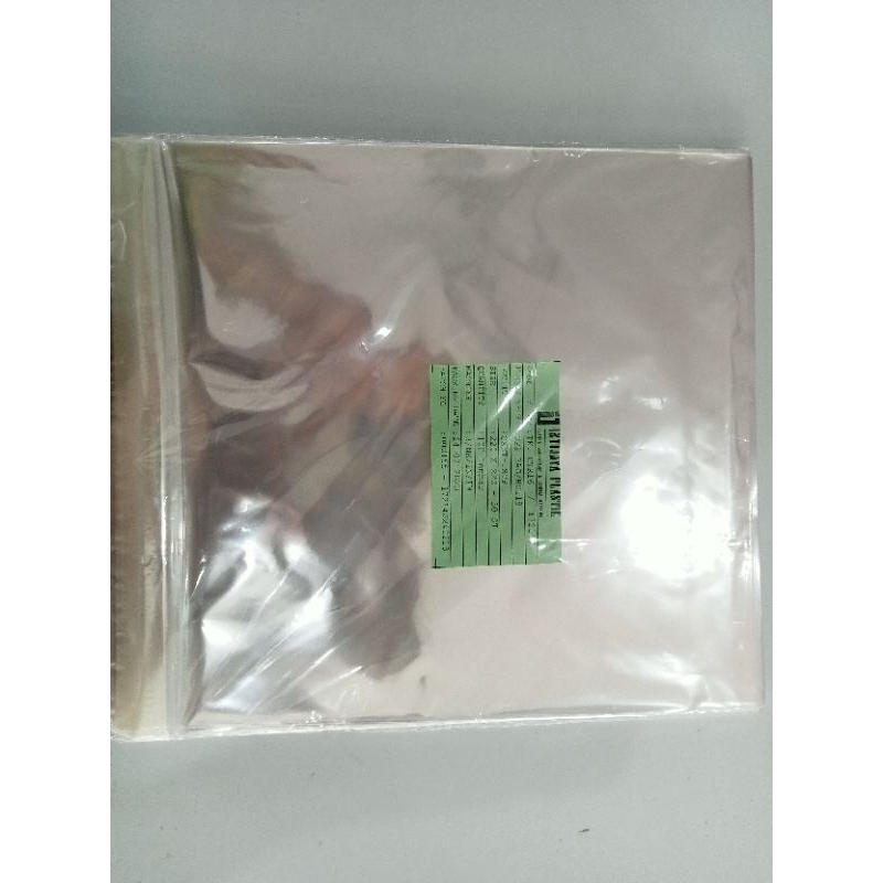 PLASTIK OPP 22X22/100pcs