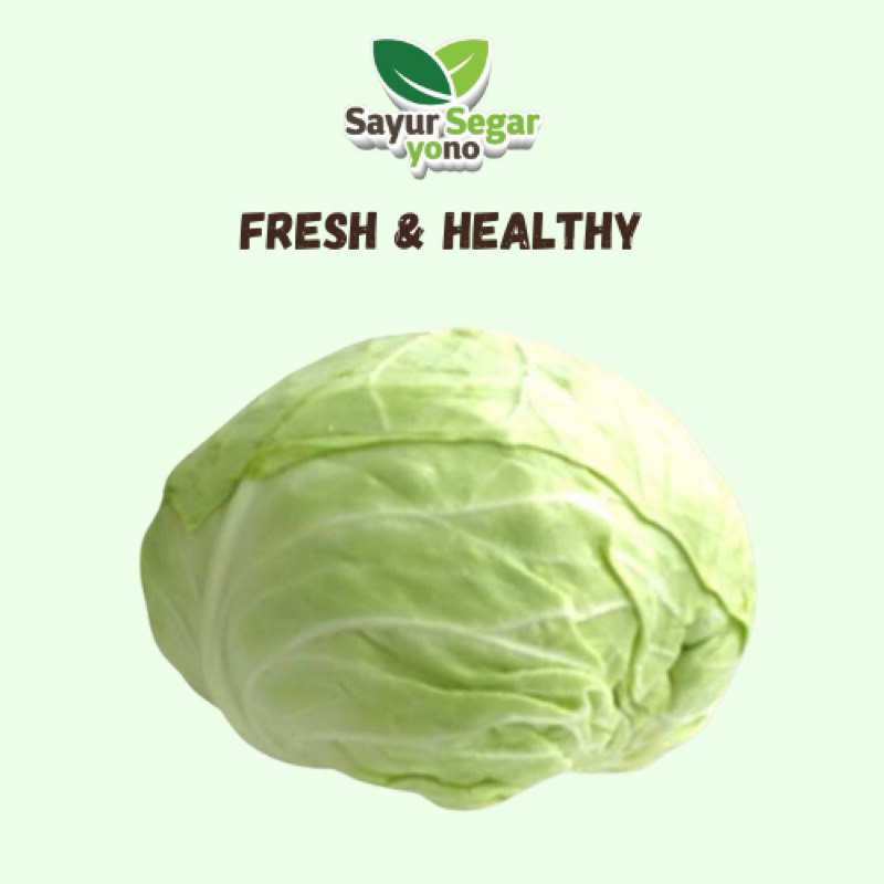 

Kol Putih FRESH! 1 Pcs