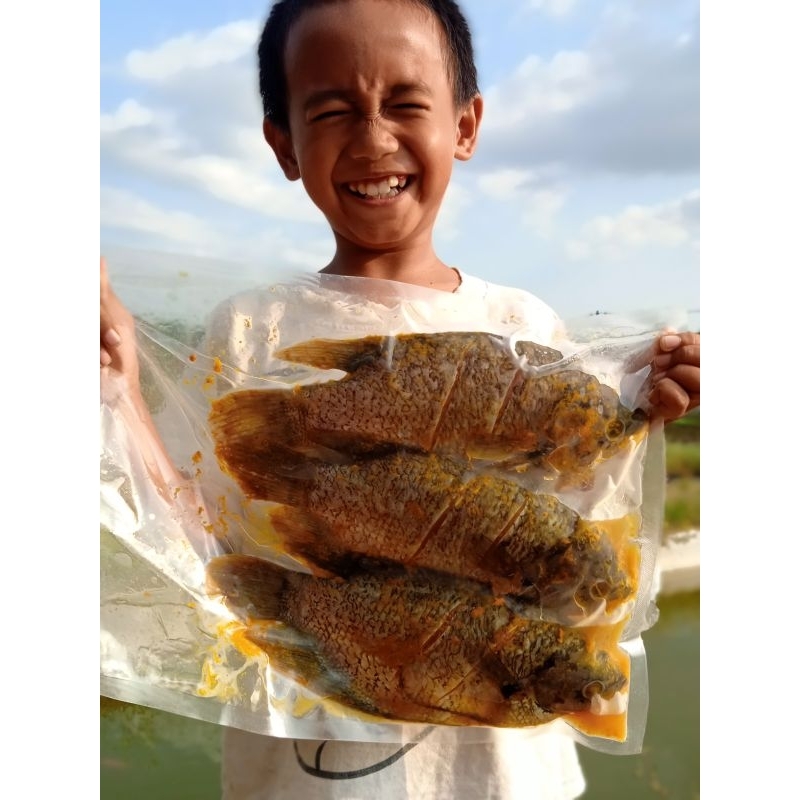 

Ikan Gurame Marinasi produk olahan ikan segar yang telah dimarinasi dengan bumbu pilihan