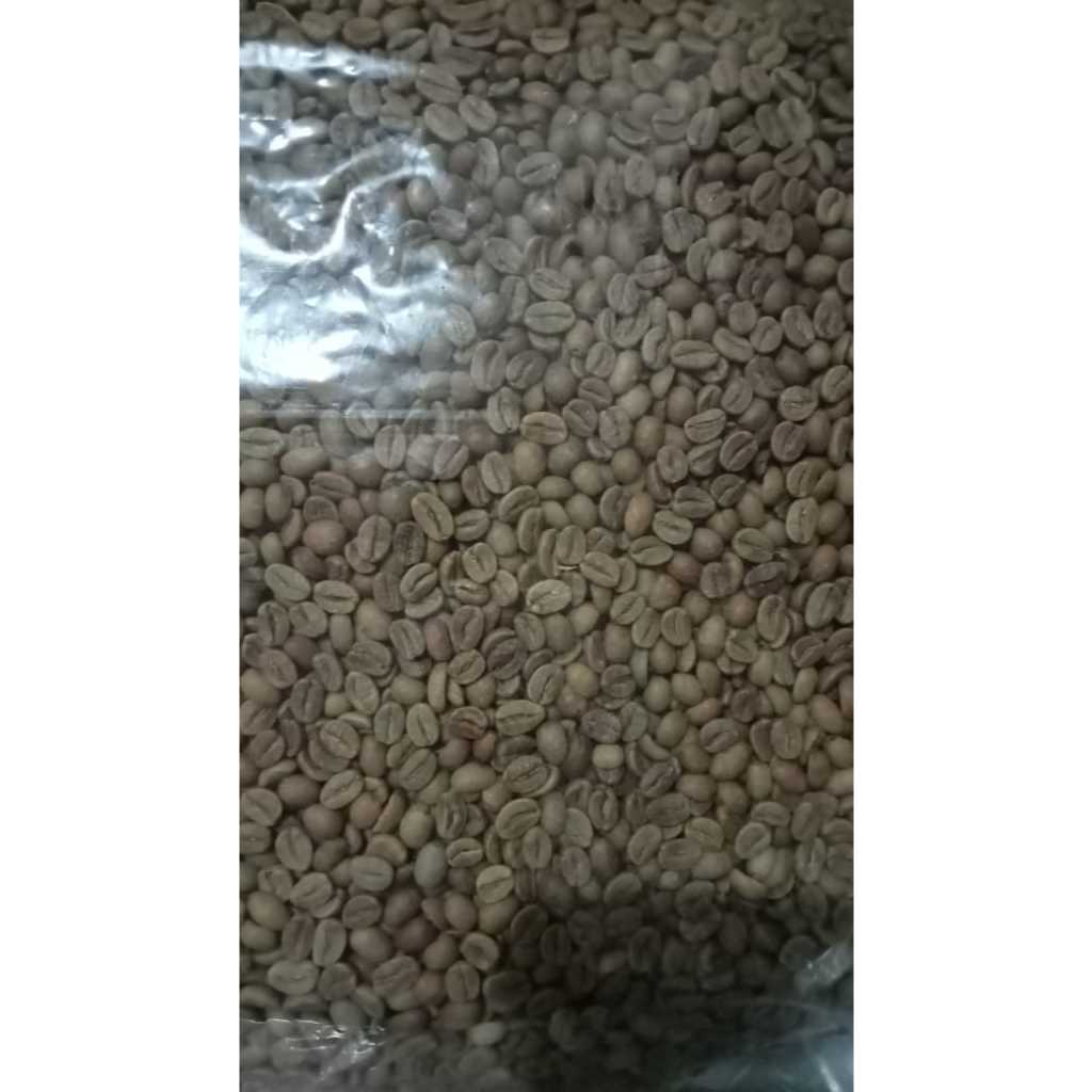 

Green Bean Arabica Palasari Natural Wine G1 Kopi Arabika 1 Kg