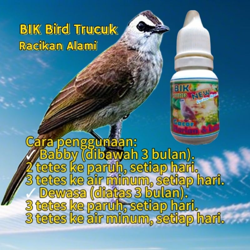 Vit Alami Trucuk. BIK Bird Trucuk Gacor Ropel. Suplemen Alami Burung Jogjrog.