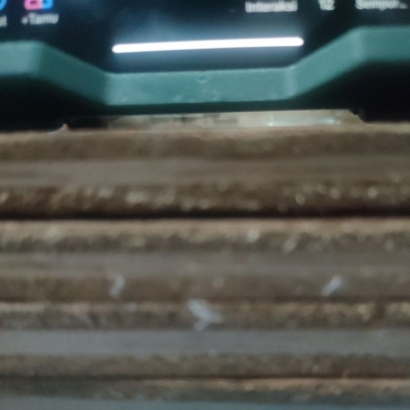 ekstrak ketapang