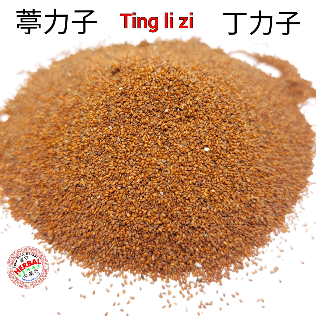 

Ting Li Zi 葶力子 - Ding Li Zi 丁力子 LEPIDIUM DESCURAINIA SEED SEEDS