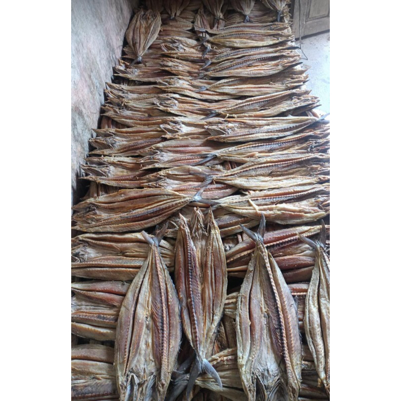 

Ikan tenggiri asin ekoran