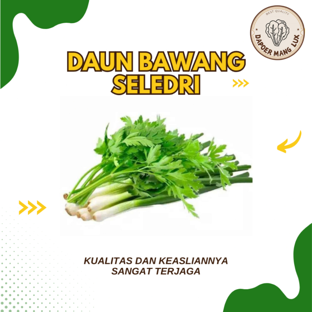 

DAUN BAWANG SELEDRI 500 GRAM DAN 1 KG BEST QUALITY