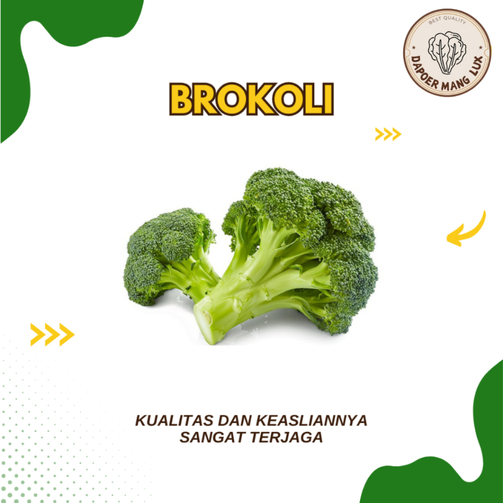 

BROKOLI 1 PCS FRESH VEGETABLE BEST QUALITY