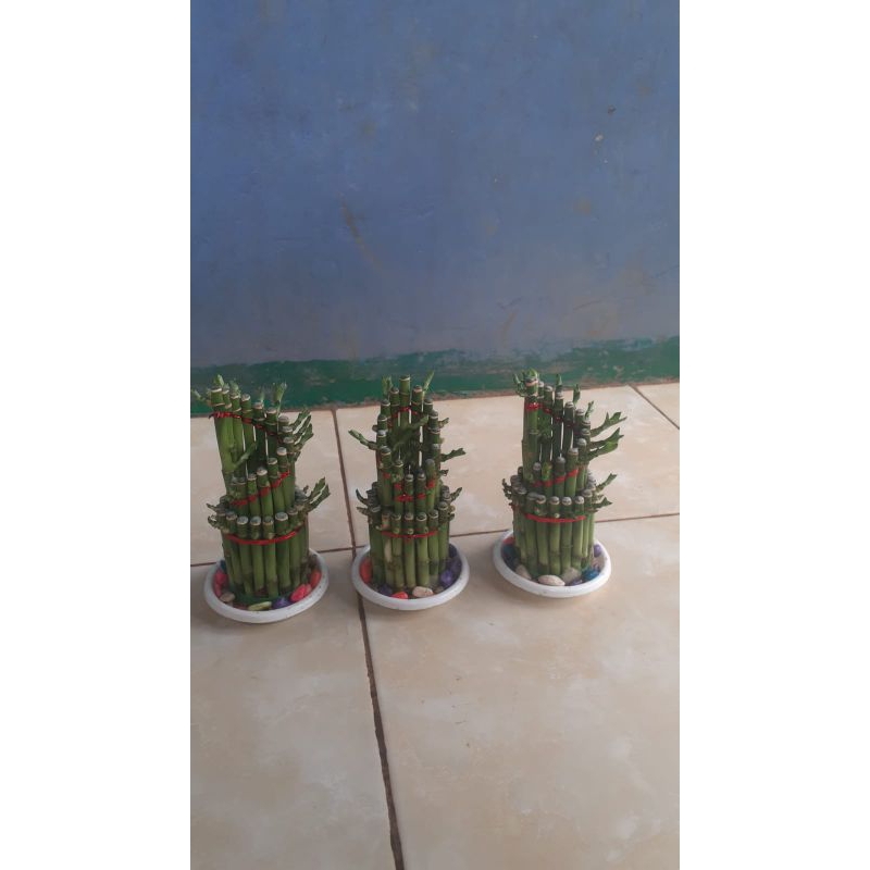 bambu cina bambu hoki