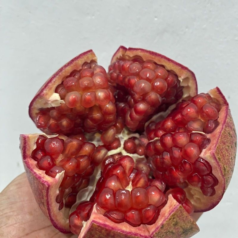 

BUAH DELIMA JUMBO FRESH!