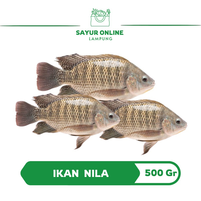 

Ikan Nila Segar / Fres 500 gr -Sayur Online Lampung