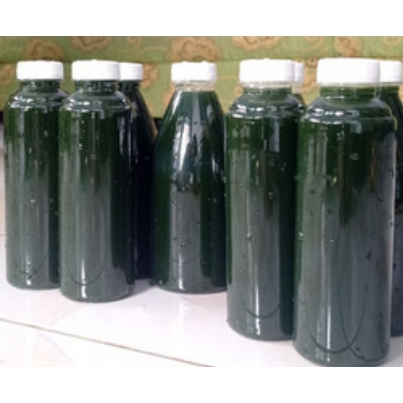 Umpan pancing essen walang sangit murni 350 ml-az