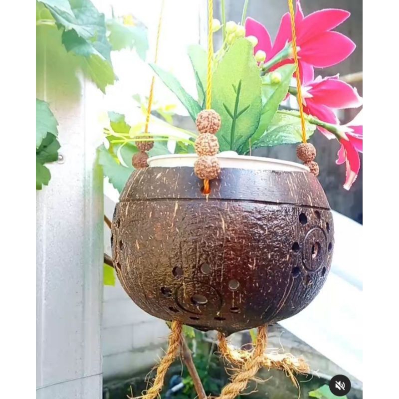 pot gantung batok kelapa, pot batok kelapa unik