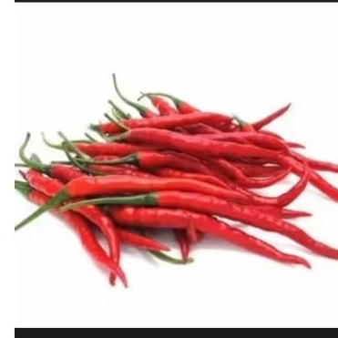 

cabe merah keriting 100gr