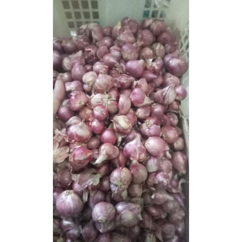 

BRAMBANG NGANJUK 500 GRAM//BAWANG MERAH NGANJUK LOKAL