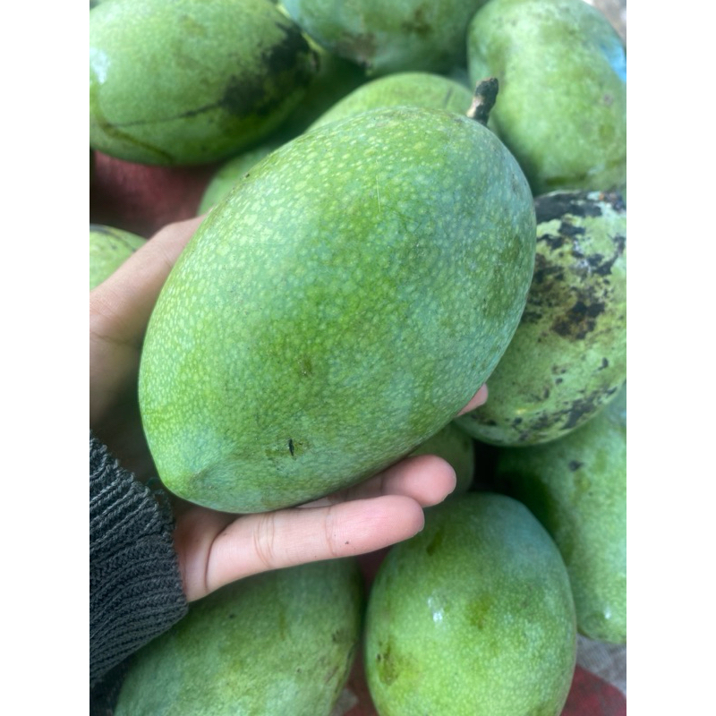 

Produk (khusus cream Brilintskin)