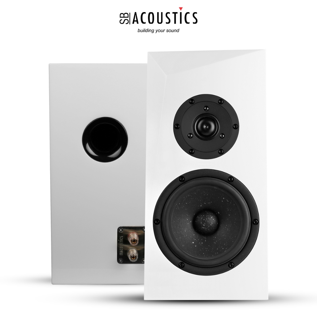 SB Acoustics Speaker Kits ARA