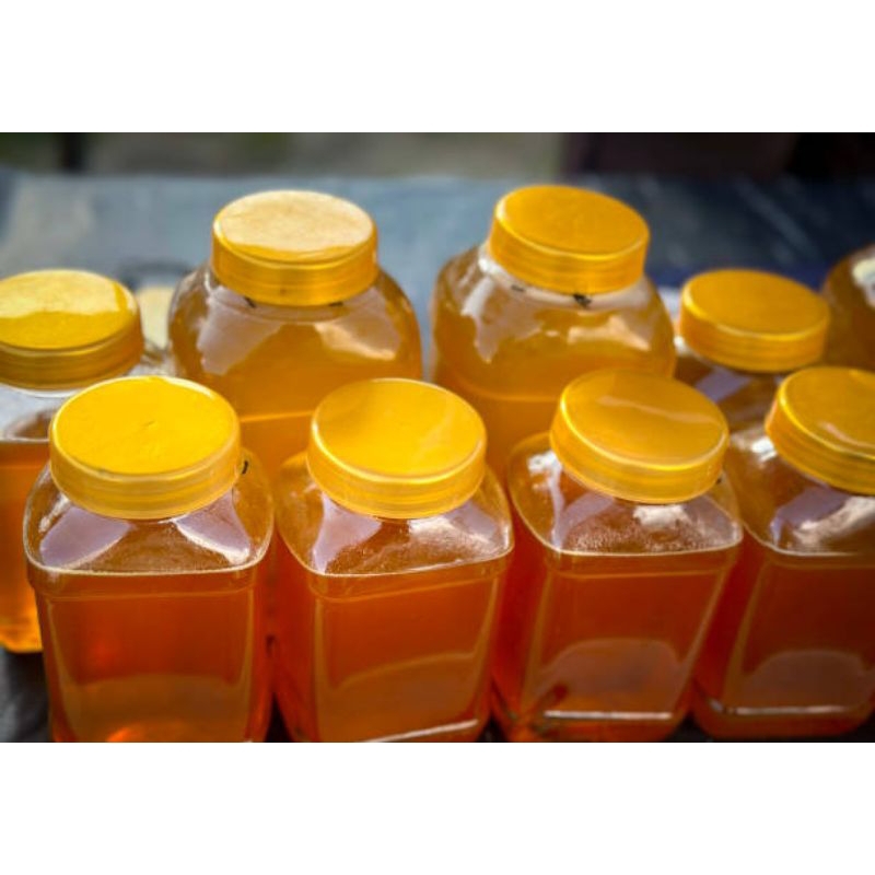 

[Madu Melifera Nektar Akasia Berat 1kg] Sedia Ecer Dan Grosir