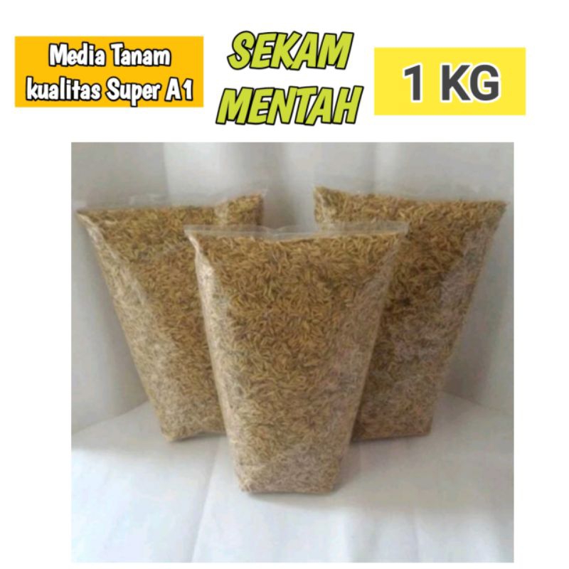 Sekam Padi Mentah 1kg Media tanam sekam padi mentah