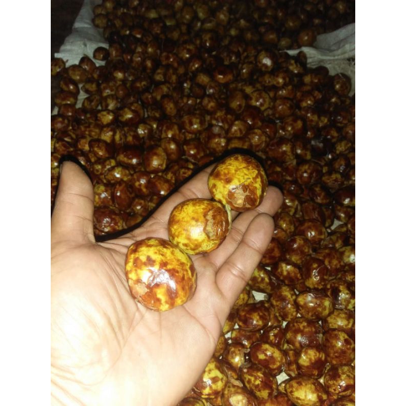 

jengkol super tua paten 1kg