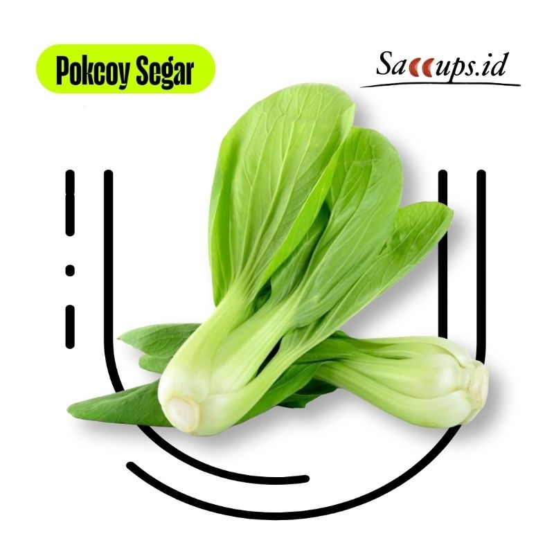 

Pokcoy Segar 1ikat