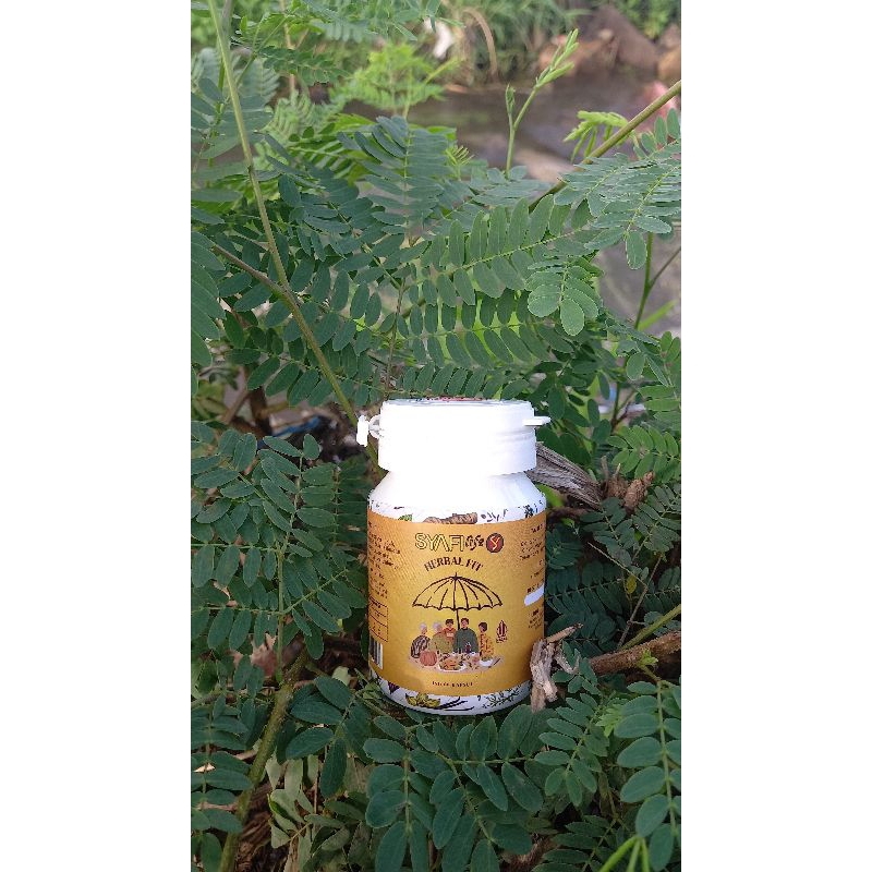 herbal fit syafi life