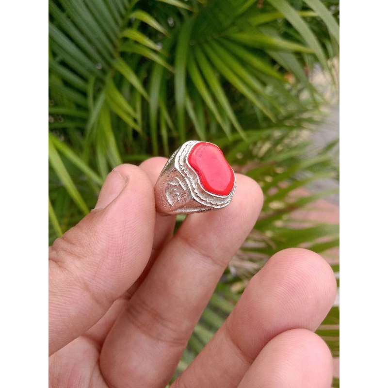 red coral marjan