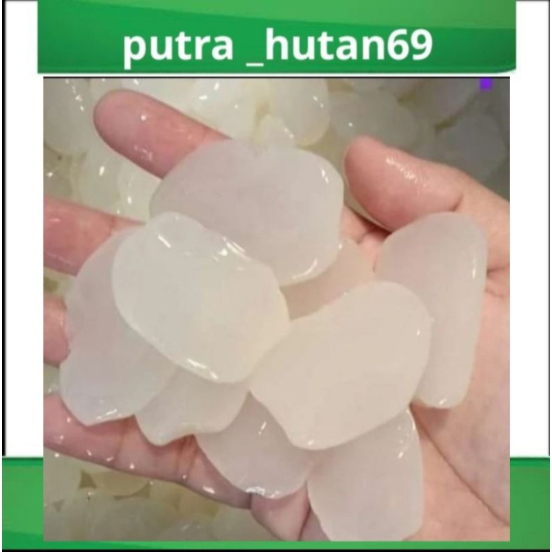 

KOLANG KALING SEGAR 1KG