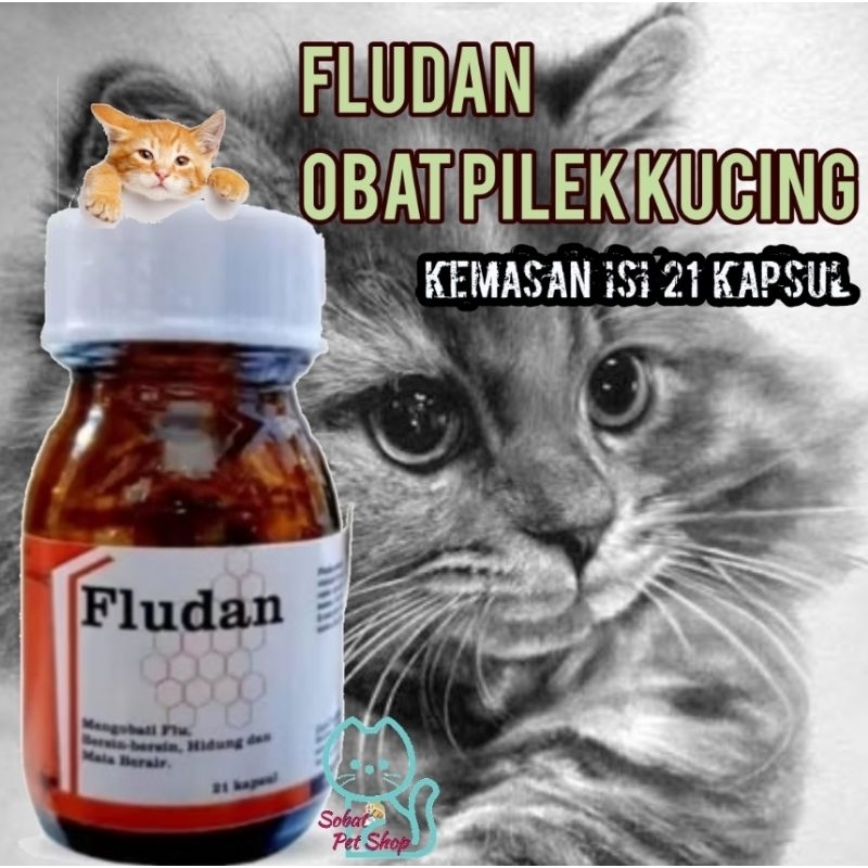 fludan obat flu kucing