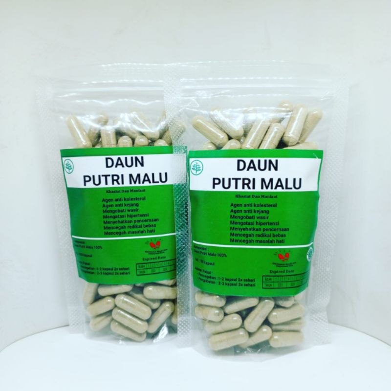 kapsul daun putri malu isi 100 kapsul