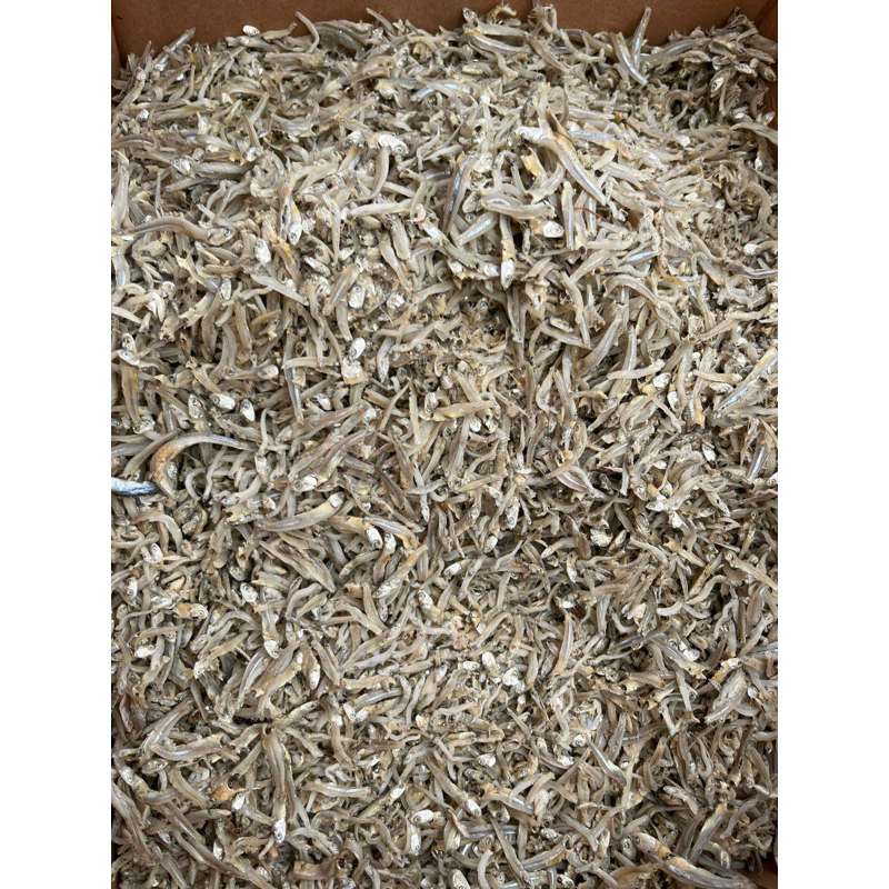 

IKAN TERI KECIL AIR TAWAR PREMIUM