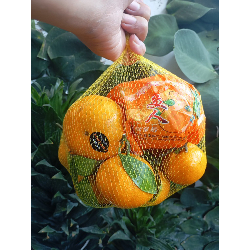 

Mix Jeruk Murcot Clemengold Sunkist Cara Cara