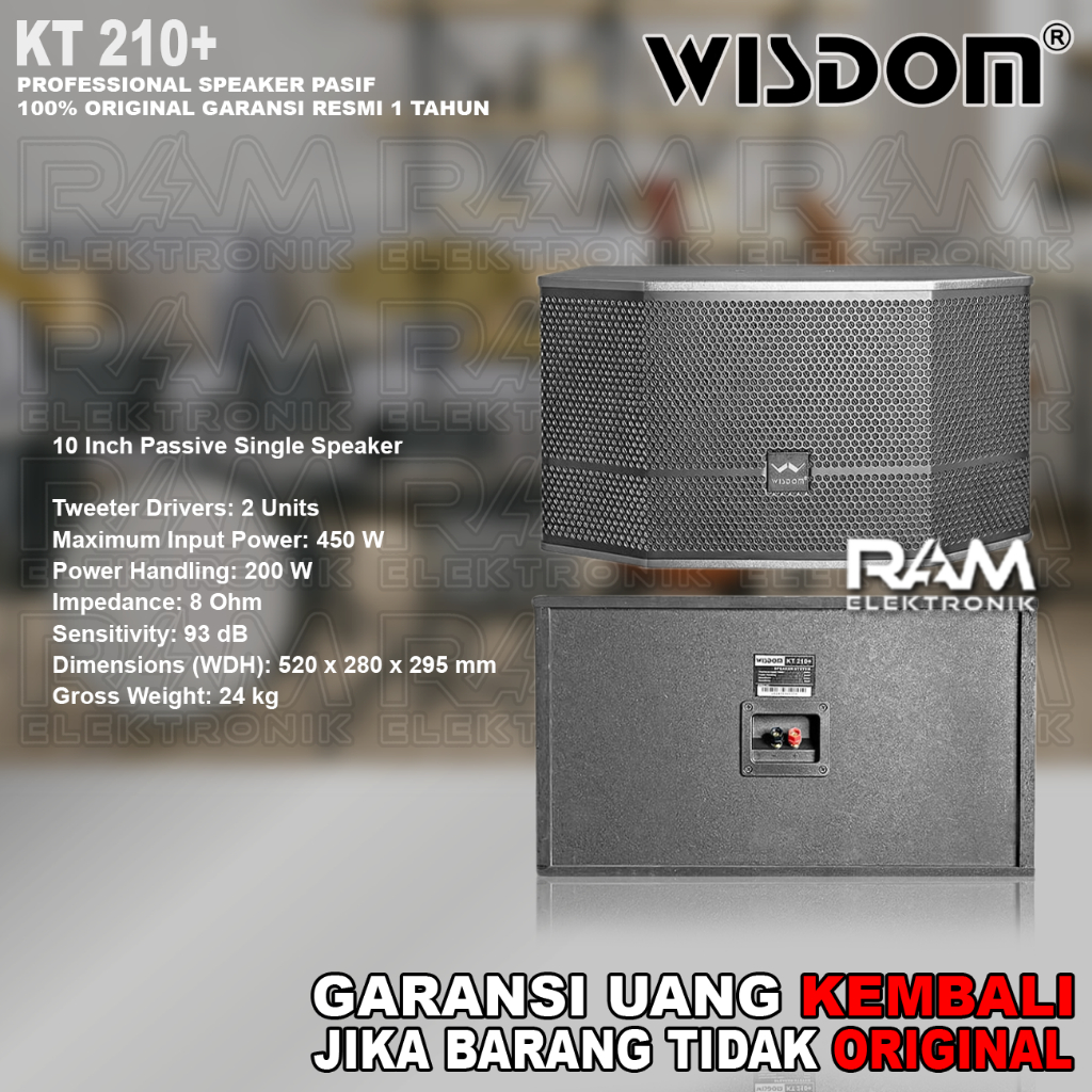 Speaker Pasif Gantung 10 Inch WISDOM KT210+ | KT 210+ | KT 210 + Original 450W