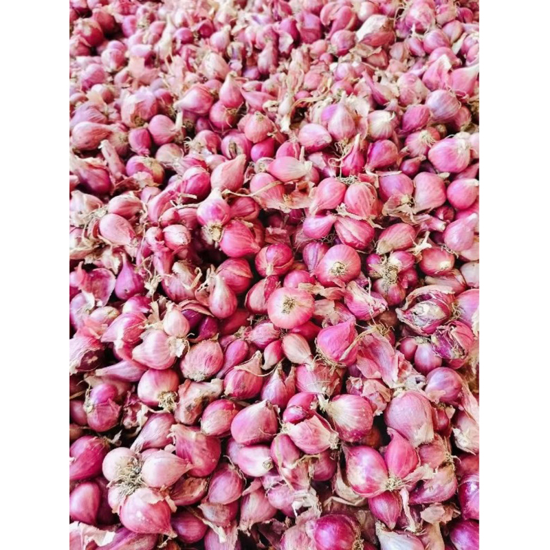 

bawang merah 1kg asli Demak