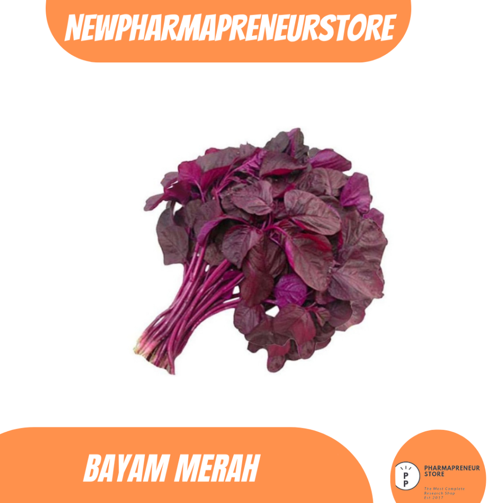 

DRIED SERBUK BAYAM MERAH BEST QUALITY